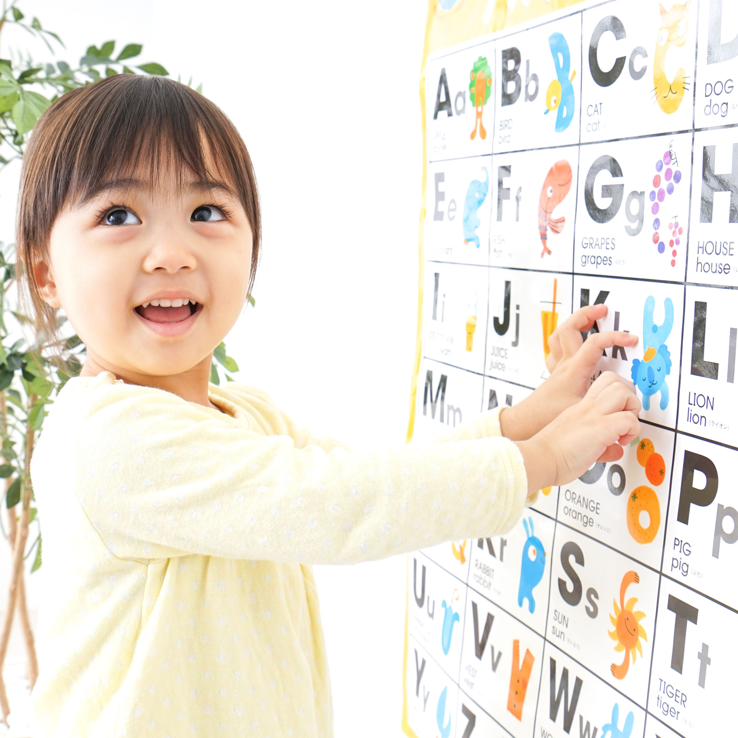 Research on early foreign language acquisition 